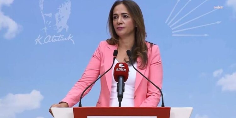 CHP Genel Başkan Yardımcısı Gamze Akkuş İlgezdi : “Türkiye vatandaşlarımız gurbet, sığınmacılar için memleket haline geldi “