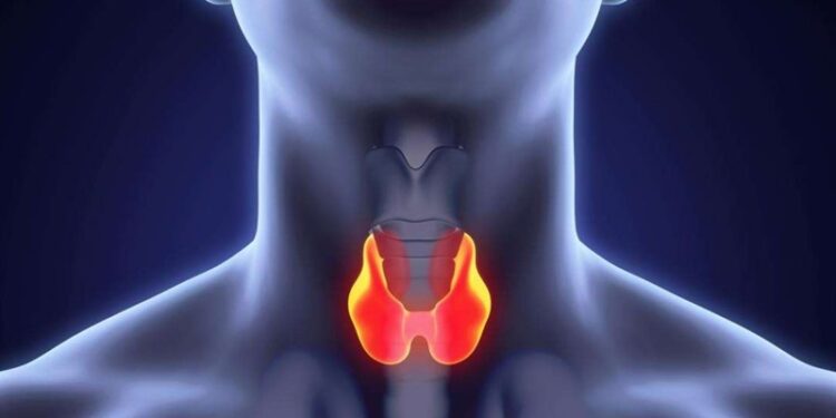 Kadınlar erkeklere oranla 8 kat daha fazla risk altında
