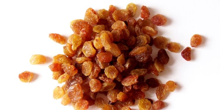 “NEİN (Hayır) demeyi öğrendiğimiz gün kuru üzümümüz para edecek”