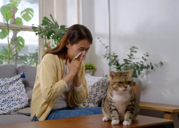 Prof. Dr. Özge Soyer : Akıllı mamalar, kedi alerjilerini ortadan kaldırabilir