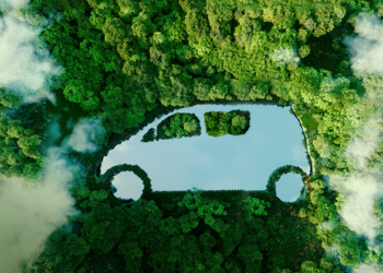 Zer, “Duyarlı Seyahat” diyerek hem fidan bağışladı, hem kadın sürücüleri teşvik etti