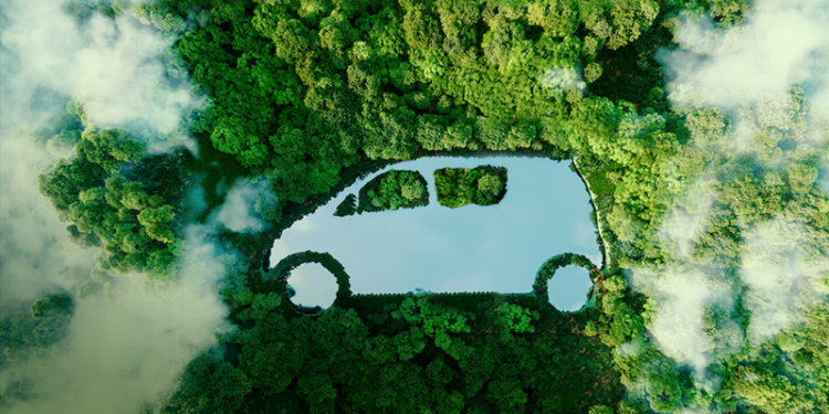 Zer, “Duyarlı Seyahat” diyerek hem fidan bağışladı, hem kadın sürücüleri teşvik etti