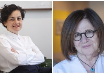 Venedik Bienali 60. Uluslararası Sanat Sergisi Türkiye Pavyonu Gülsün Karamustafa’yı Ağırlayacak