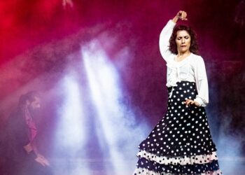 Uluslararası 8. Anadolu Tiyatro Ödüllü   ‘’Nermin Bir Aşk Hikayesi’’ İstanbul Prömiyeri AKM’de