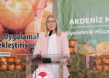 2023 yılı narenciye ihracatında hedef 1 milyar doları aşmak