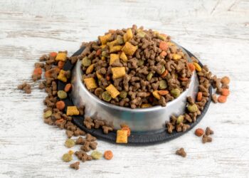 Türkiye dünyanın kedi köpek maması ihtiyacını karşılıyor