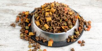 Türkiye dünyanın kedi köpek maması ihtiyacını karşılıyor