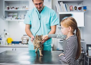 #Kedimklinikte Etiketi, sahipsiz hayvanlar için mama desteğine dönüşüyor