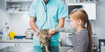 #Kedimklinikte Etiketi, sahipsiz hayvanlar için mama desteğine dönüşüyor