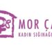 Mor Çatı’dan Deprem Bölgesinde Kadına Yönelik Şiddete Dair Rapor