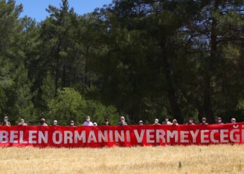 Akbelen Ormanı’nın korunması için  sivil toplum kuruluşlarından ortak çağrı!