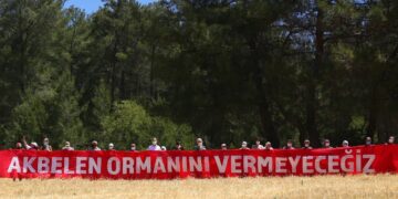 Akbelen Ormanı’nın korunması için  sivil toplum kuruluşlarından ortak çağrı!