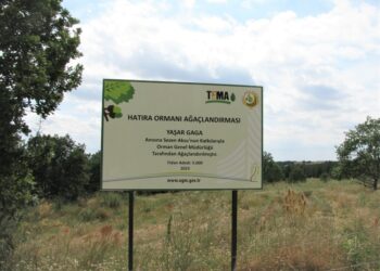 Sezen Aksu, Yaşar Gaga adını hatıra ormanı ile yaşatacak