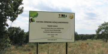 Sezen Aksu, Yaşar Gaga adını hatıra ormanı ile yaşatacak