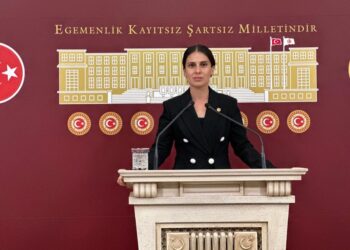 CHP Muğla Milletvekili Gizem Özcan;  “1 ağaç az ölsün’ diye ölenlerin karşısına 65 bin ağacı katlederek çıkmaya utanmayacak mısınız?”