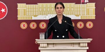 CHP Muğla Milletvekili Gizem Özcan;  “1 ağaç az ölsün’ diye ölenlerin karşısına 65 bin ağacı katlederek çıkmaya utanmayacak mısınız?”