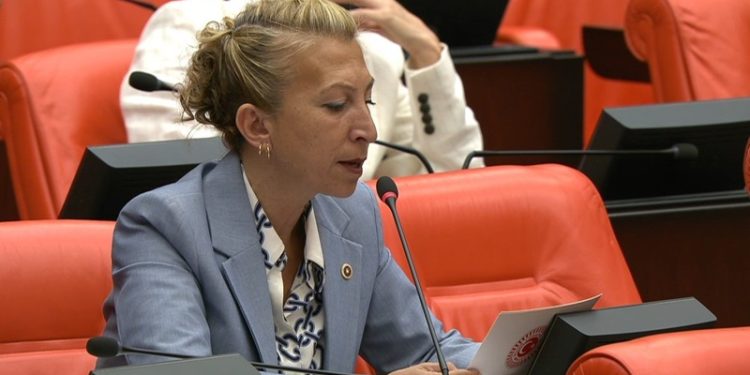CHP Muğla Milletvekili Süreyya Öneş Derici, Bodrum’un su sorununu meclis gündemine taşıdı