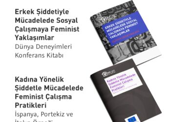 Mor Çatı’dan Kadına Yönelik Şiddetle Mücadelede Dünya Deneyimlerine Dair   İki Yeni Yayın!
