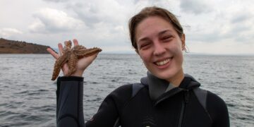 UNDP, Türk denizlerinde yırtıcı denizyıldızı istilasıyla mücadele ediyor