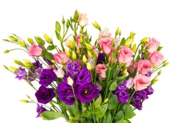 Çiçek Siparişinde Lüksün Yeni Adı: Veronas Luxury