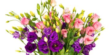 Çiçek Siparişinde Lüksün Yeni Adı: Veronas Luxury
