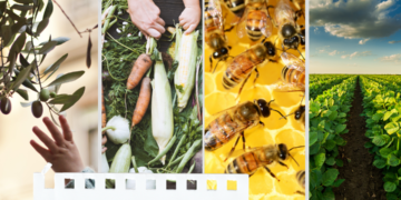 KAGİDER, Tarımda Kadın girişimci geliştirme ve hızlandırma programı başvuruları açıldı!