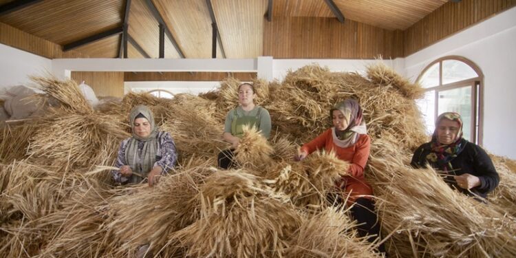 Hatay’da Kadınlar “Değer Katmak Elimizden Gelir”