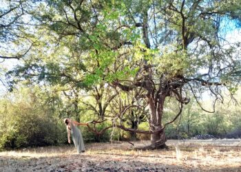 açıkALAN Projesinin son performansı VOYN!