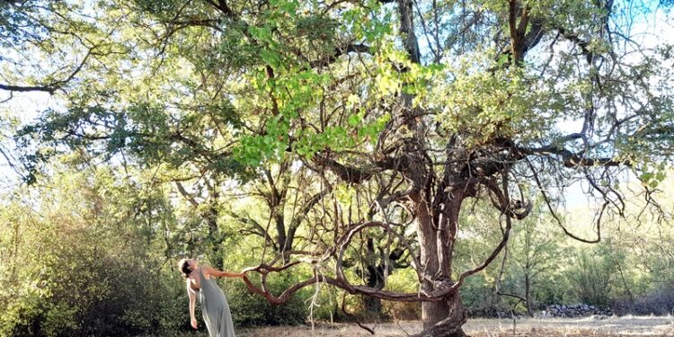 açıkALAN Projesinin son performansı VOYN!