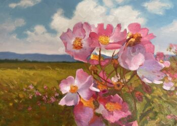 Sanatçı Fatma Kadir ve İlhan Sayın Solo Sergileri ile ABD’de