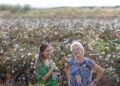 Küresel standartların uygulanması, Güneydoğu Anadolu’daki pamuk çiftçilerine kâr sağlıyor