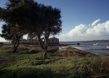 Ara Güler Arşivinden Ayvalık Fotografları Gün Yüzüne çıkıyor