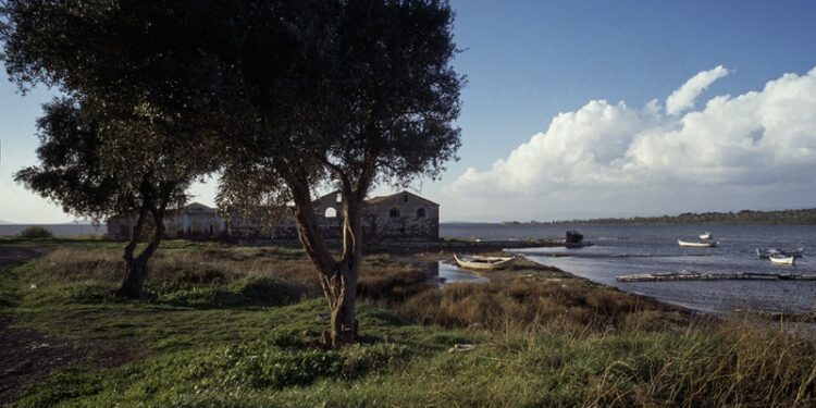 Ara Güler Arşivinden Ayvalık Fotografları Gün Yüzüne çıkıyor