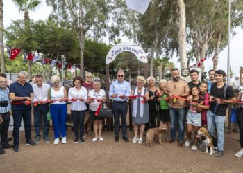 4. Mersin Pati Festivali’nde Hayvan severler ve Can Dostlar buluştu