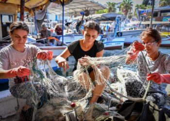 Mersinde,Tarımsal üretim kadın emeğiyle kalkınıyor