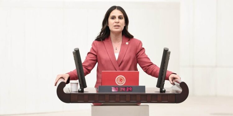 CHP’li Gizem Özcan’dan Kanun Teklifi: “Annelere doğum borçlanması hakkı ve doğum sonrası 6 aylık ücretli izin verilsin”