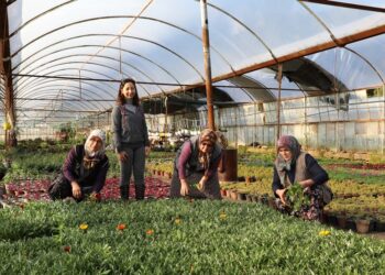 25 Milyon Çiçek Üretimi İle Üretici ve Muğla kazandı