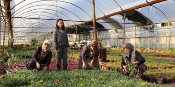 25 Milyon Çiçek Üretimi İle Üretici ve Muğla kazandı