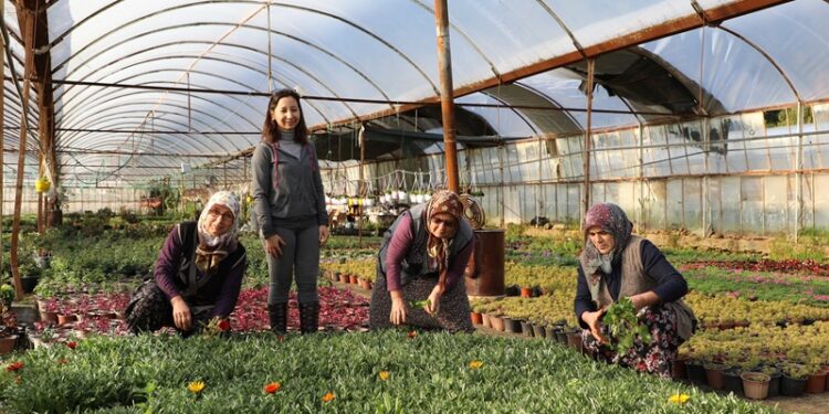 25 Milyon Çiçek Üretimi İle Üretici ve Muğla kazandı