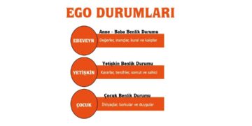 Transaksiyonel Analiz Hakkında Sıkça Sorulan Sorular (SSS)