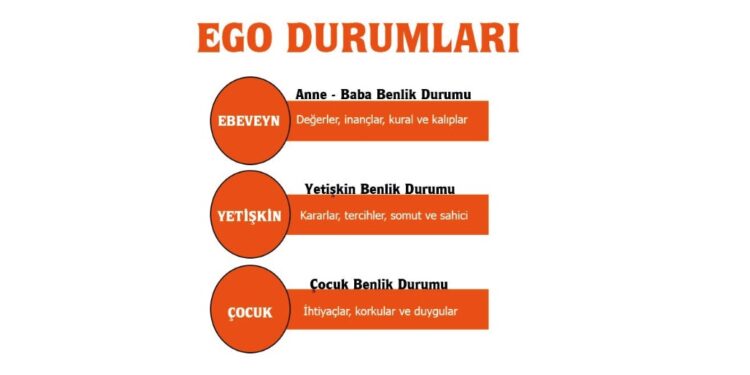 Transaksiyonel Analiz Hakkında Sıkça Sorulan Sorular (SSS)