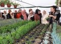 Kadın çiftçilere süs bitkisi eğitimi