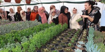 Kadın çiftçilere süs bitkisi eğitimi