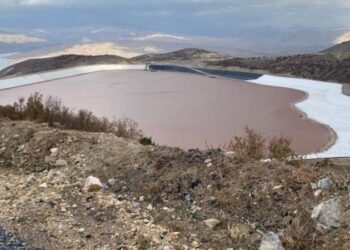 Solunum Hekimleri: Siyanür maruziyetinde neler yapılmalı, neler yapılmamalı?