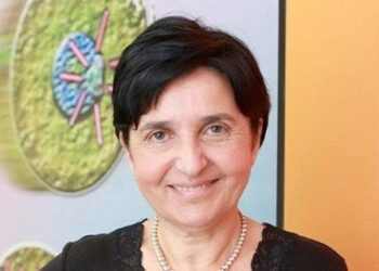 Tıbbi Cihaz Sektöründe Devrim Yaratacak Bir Şirket: STRATIS GROUP