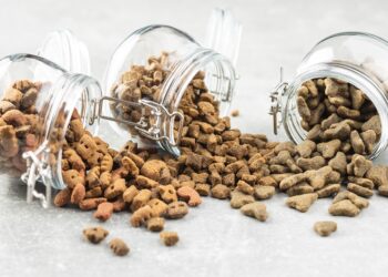 Kedi köpek maması ihracatı 10 yılda 27 kat arttı 4 milyon dolardan 122 milyon dolara çıktı