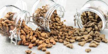 Kedi köpek maması ihracatı 10 yılda 27 kat arttı 4 milyon dolardan 122 milyon dolara çıktı