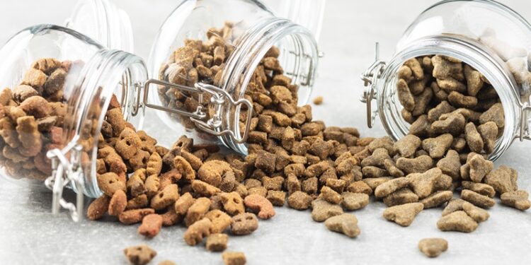 Kedi köpek maması ihracatı 10 yılda 27 kat arttı 4 milyon dolardan 122 milyon dolara çıktı