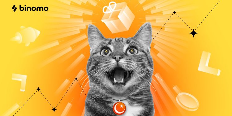 Binomo, “CosmoCat: Istanbul Expedition” projesiyle sokak hayvanlarına güvenli bir yaşam alanı oluşturuyor