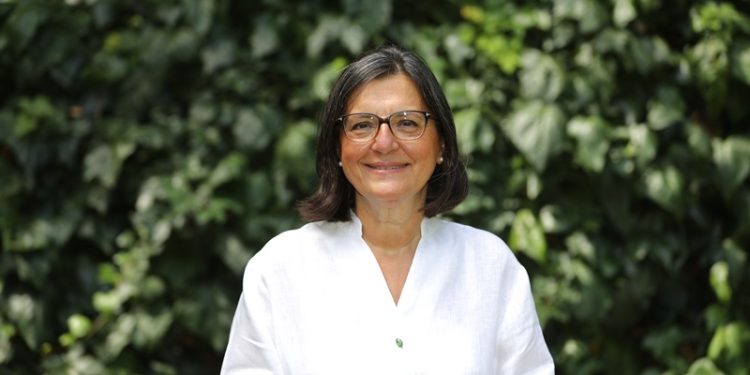 TEMA Vakfı: Barışçıl bir dünya için  orman ve su varlıklarına ihtiyacımız var!